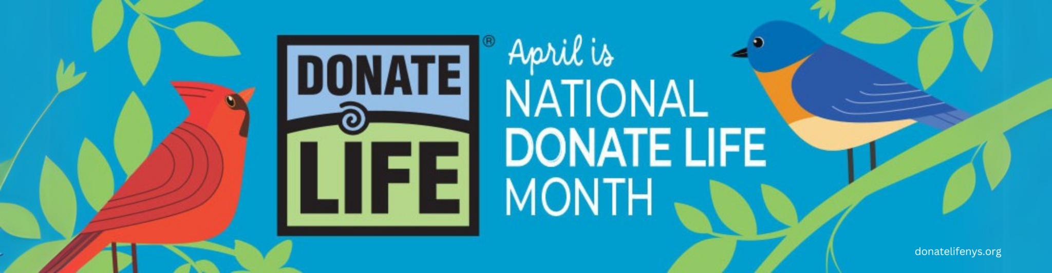 Donate Life Month Resources for Community Partners - Donate Life New ...